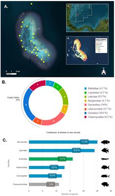 Fish biodiversity of Courtown Cays, seaflower biosphere reserve (Colombian Caribbean): new records and an annotated checklist